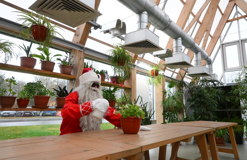 Гостям "Городской фермы" на ВДНХ рассказали о новогодней программе и новых обитателях 18 фото