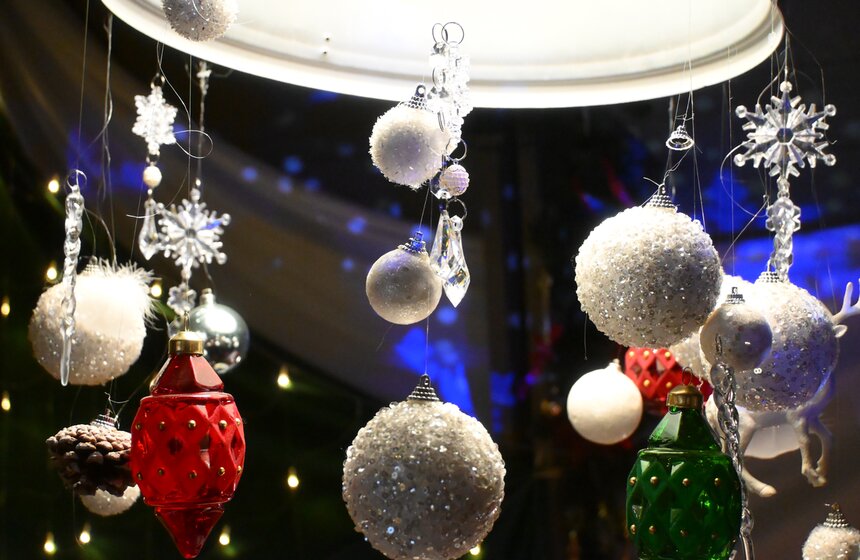 Гостям "Городской фермы" на ВДНХ рассказали о новогодней программе и новых обитателях 14 фото