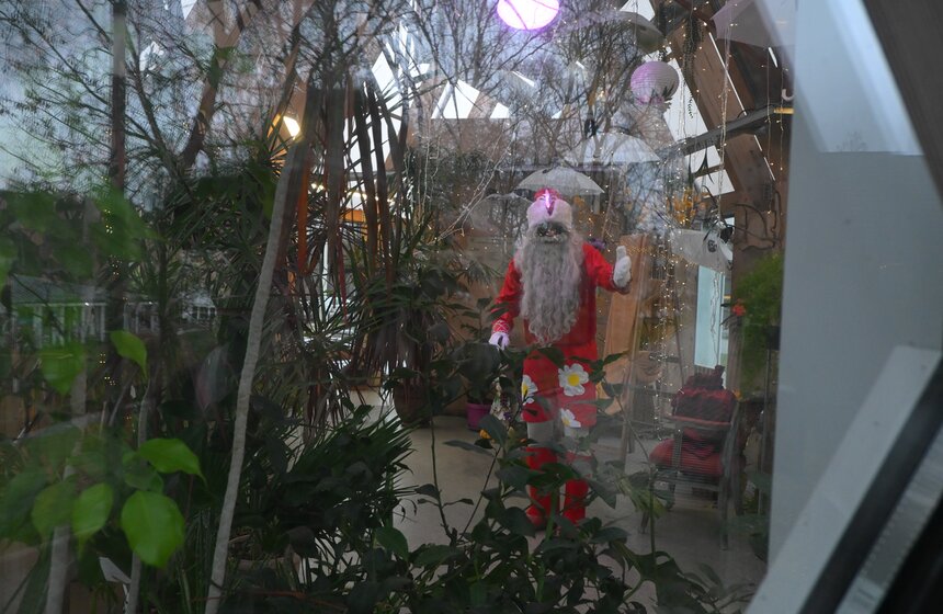 Гостям "Городской фермы" на ВДНХ рассказали о новогодней программе и новых обитателях 17 фото