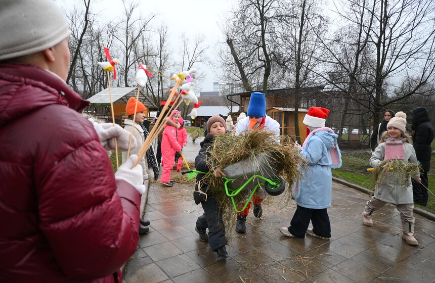 Гостям "Городской фермы" на ВДНХ рассказали о новогодней программе и новых обитателях 13 фото