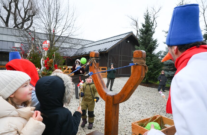 Гостям "Городской фермы" на ВДНХ рассказали о новогодней программе и новых обитателях 4 фото