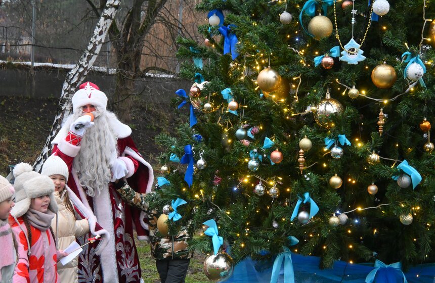 Гостям "Городской фермы" на ВДНХ рассказали о новогодней программе и новых обитателях 24 фото