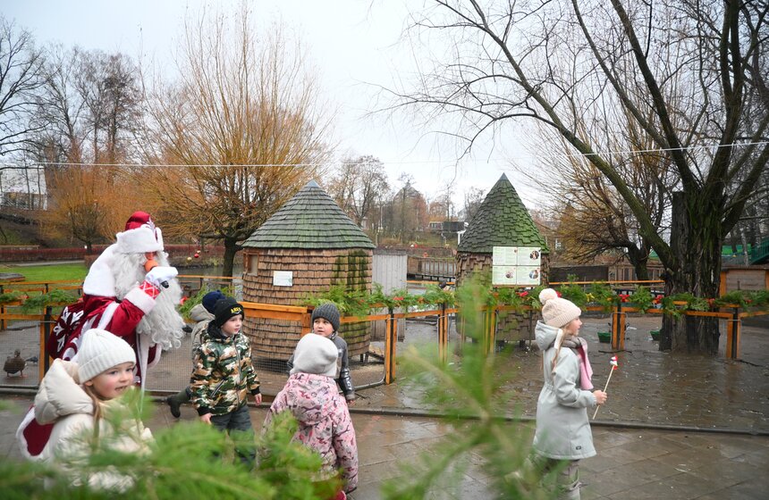 Гостям "Городской фермы" на ВДНХ рассказали о новогодней программе и новых обитателях 19 фото
