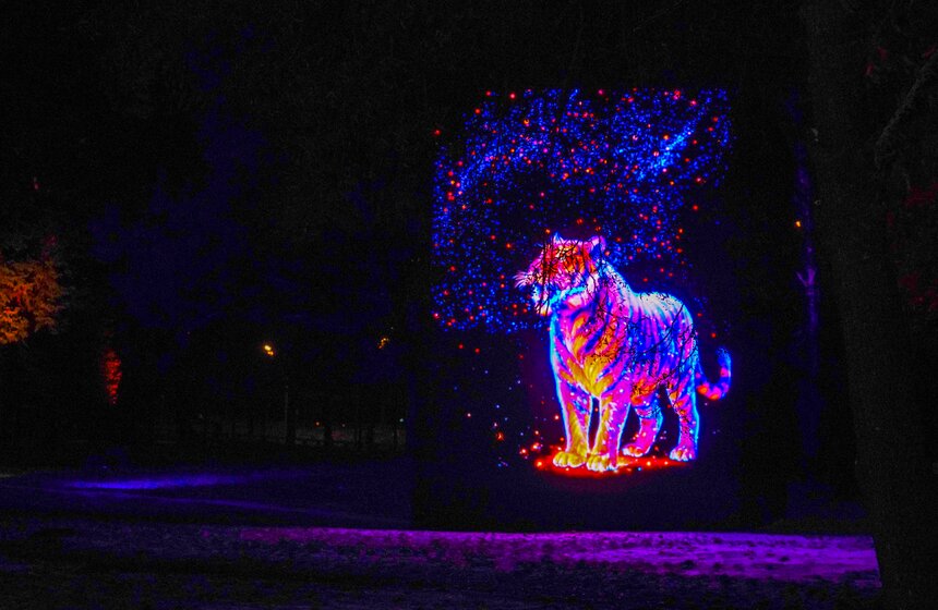 Площадка проекта "Зима в Москве" открылась на Воробьевых горах 30 фото