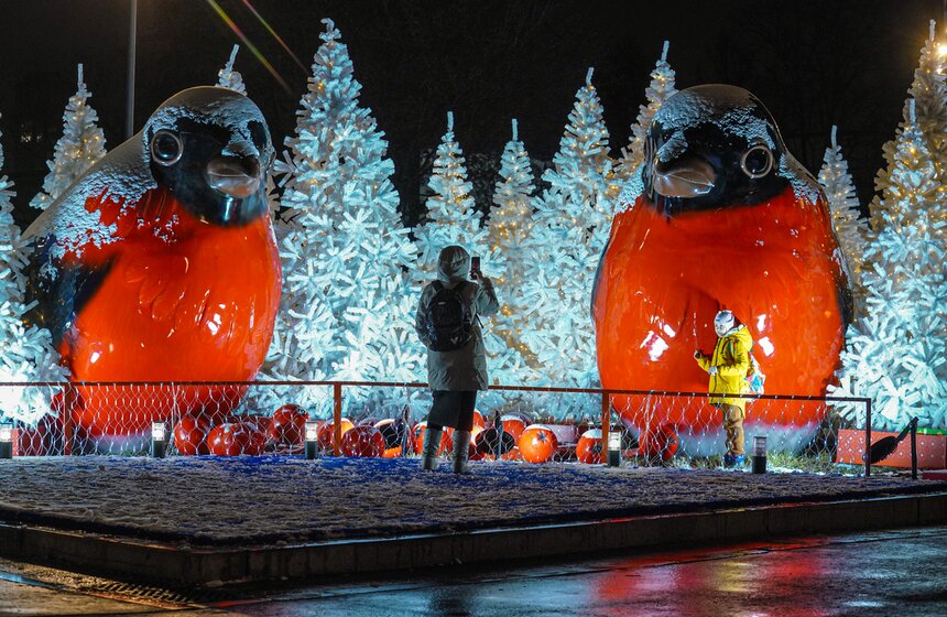 Площадка проекта "Зима в Москве" открылась на Воробьевых горах 31 фото