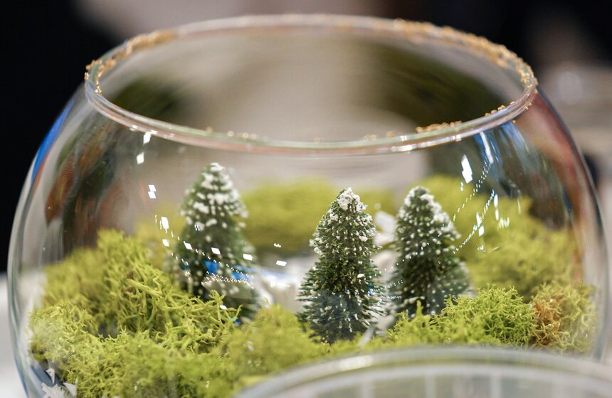 Площадка проекта "Зима в Москве" открылась на Воробьевых горах 22 фото