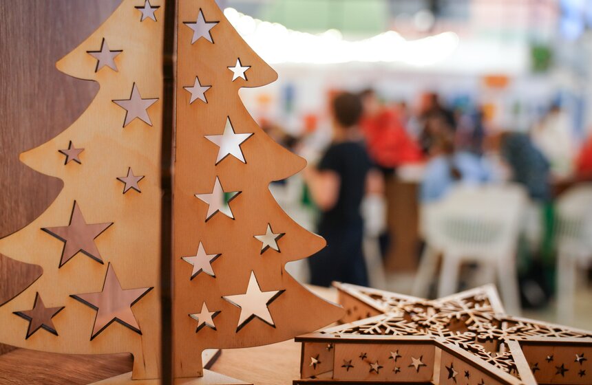 Площадка проекта "Зима в Москве" открылась на Воробьевых горах 25 фото