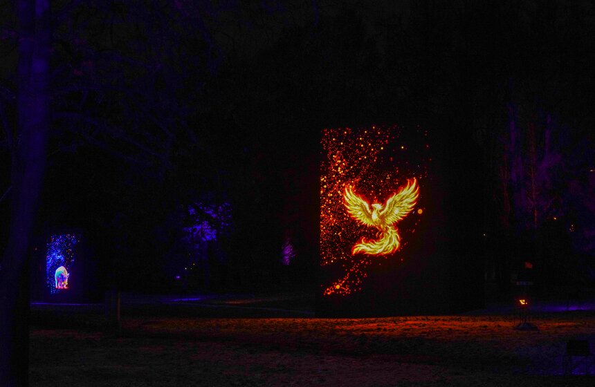 Площадка проекта "Зима в Москве" открылась на Воробьевых горах 28 фото