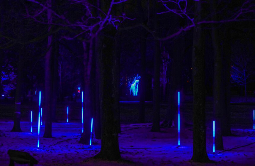 Площадка проекта "Зима в Москве" открылась на Воробьевых горах 29 фото