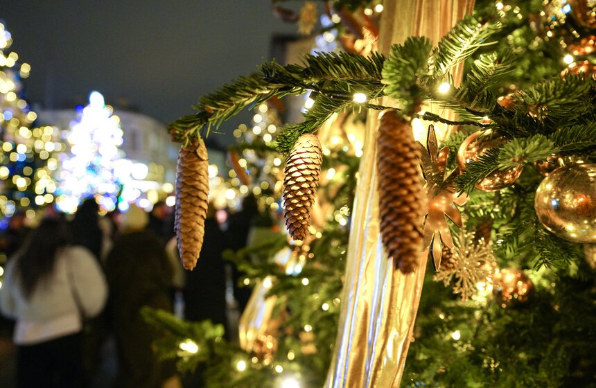 Выставка дизайнерских елей открылась в Москве 16 фото