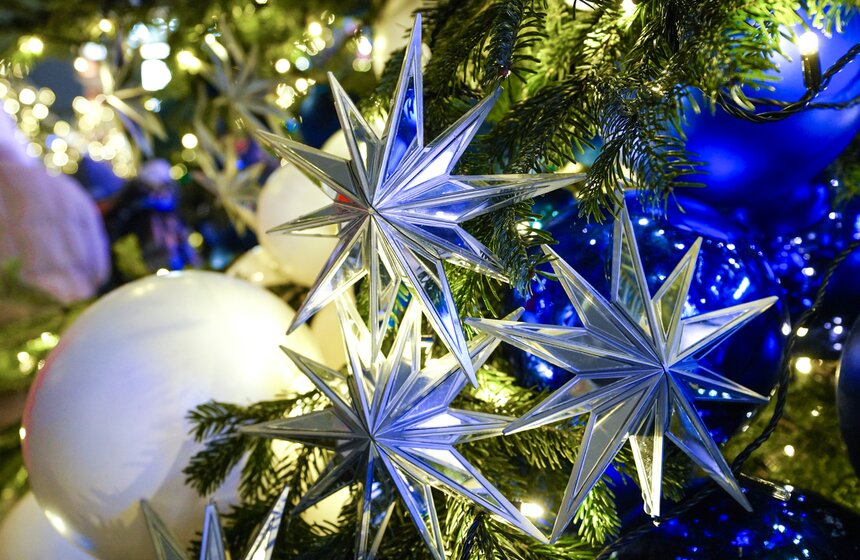 Выставка дизайнерских елей открылась в Москве 11 фото