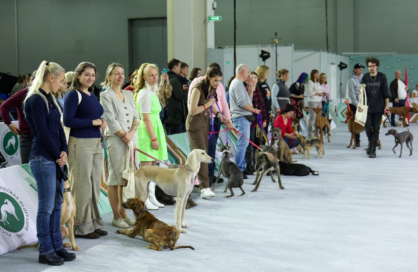 Международная кинологическая выставка "Евразия" прошла в Москве 10 фото