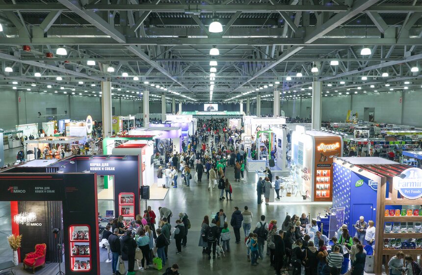 Международная кинологическая выставка "Евразия" прошла в Москве 1 фото