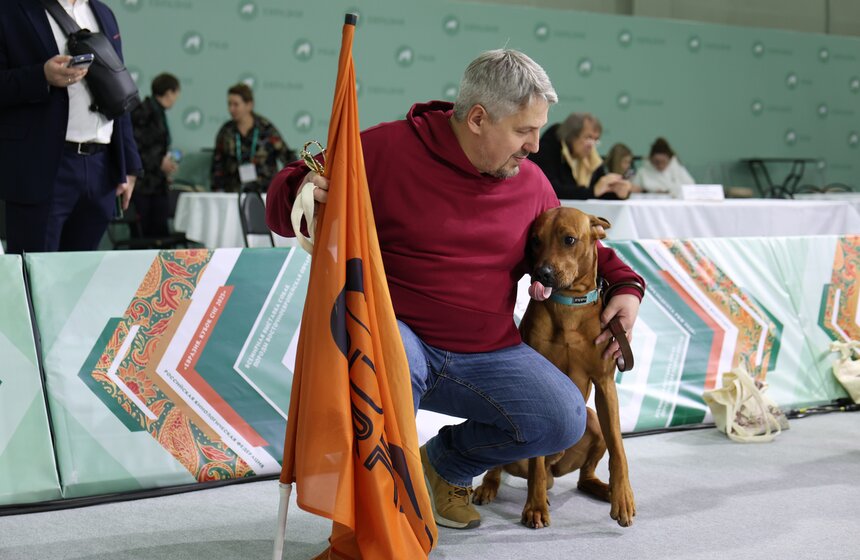 Международная кинологическая выставка "Евразия" прошла в Москве 14 фото