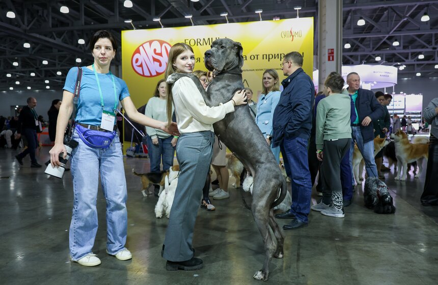 Международная кинологическая выставка "Евразия" прошла в Москве 3 фото