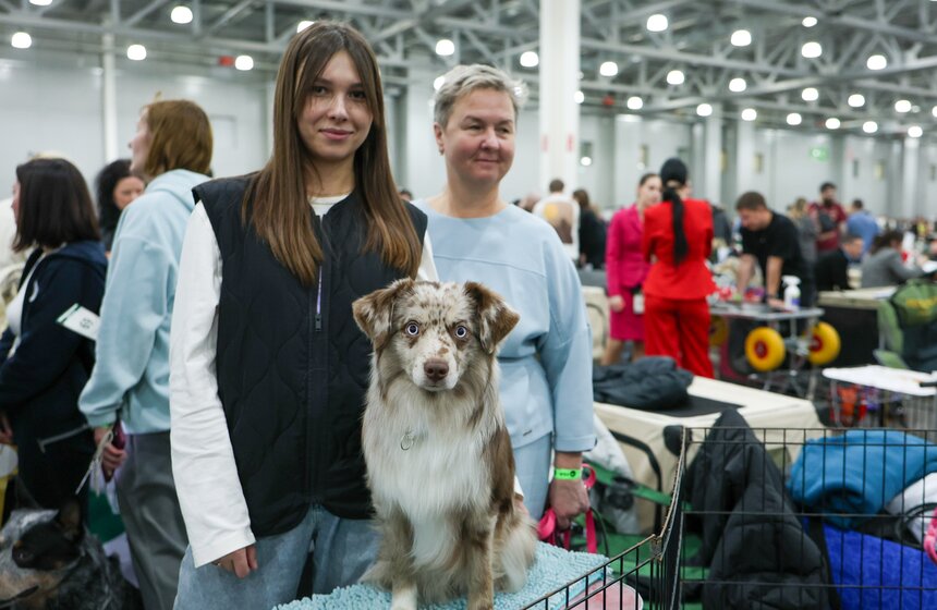 Международная кинологическая выставка "Евразия" прошла в Москве 5 фото