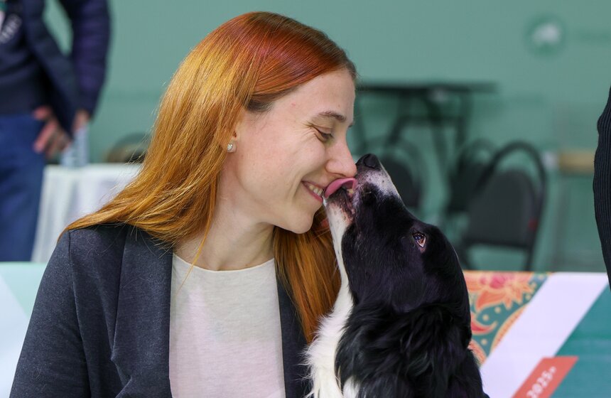 Международная кинологическая выставка "Евразия" прошла в Москве 17 фото