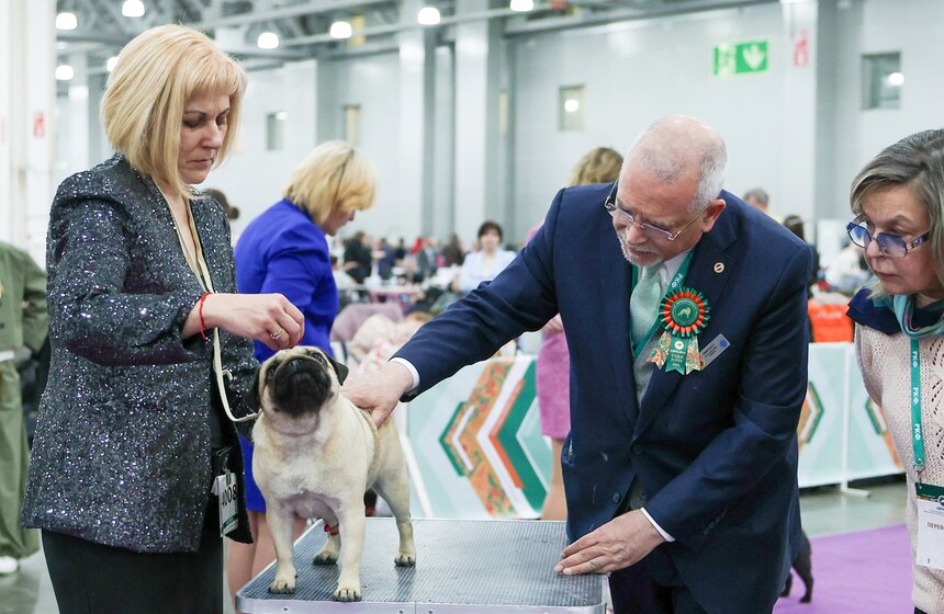 Международная кинологическая выставка "Евразия" прошла в Москве 20 фото