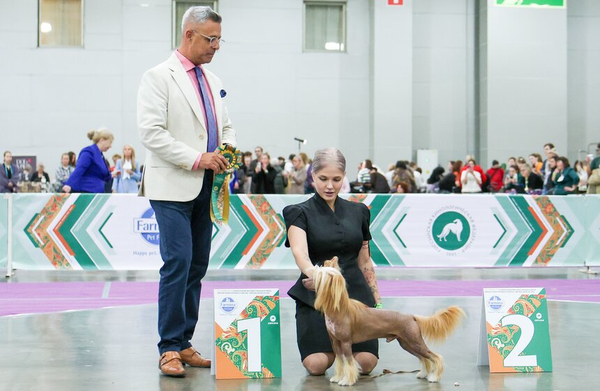 Международная кинологическая выставка "Евразия" прошла в Москве 19 фото