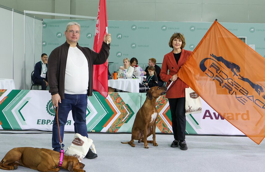 Международная кинологическая выставка "Евразия" прошла в Москве 13 фото