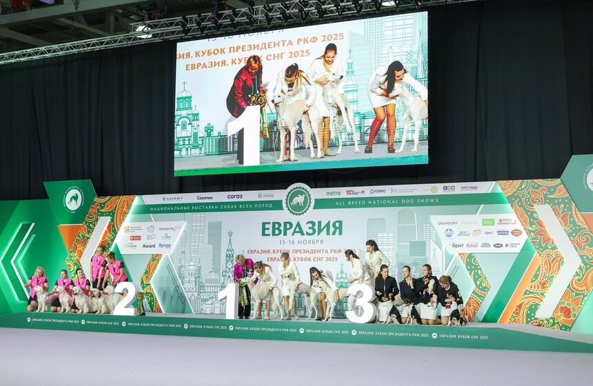 Международная кинологическая выставка "Евразия" прошла в Москве 32 фото