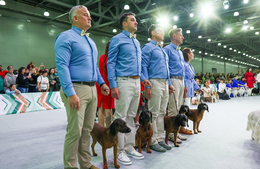 Международная кинологическая выставка "Евразия" прошла в Москве 27 фото