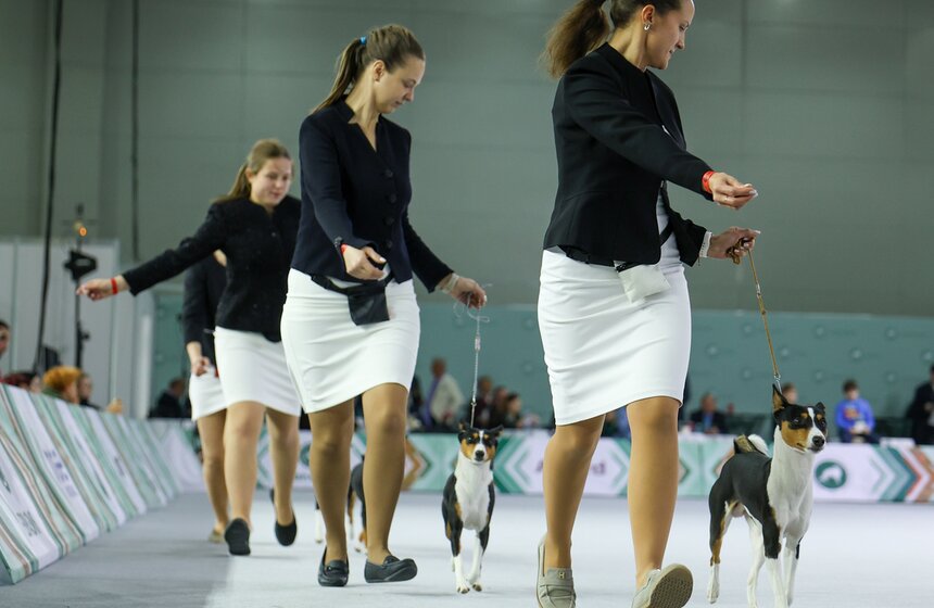 Международная кинологическая выставка "Евразия" прошла в Москве 31 фото