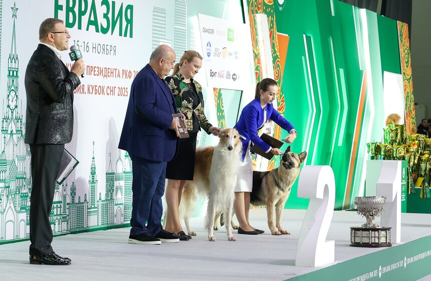 Международная кинологическая выставка "Евразия" прошла в Москве 22 фото