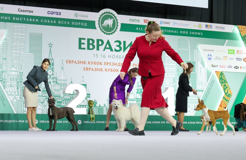 Международная кинологическая выставка "Евразия" прошла в Москве 26 фото
