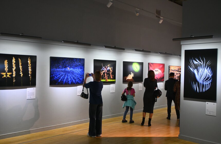 Фестиваль дикой природы "Золотая черепаха" открылся в Москве 23 фото