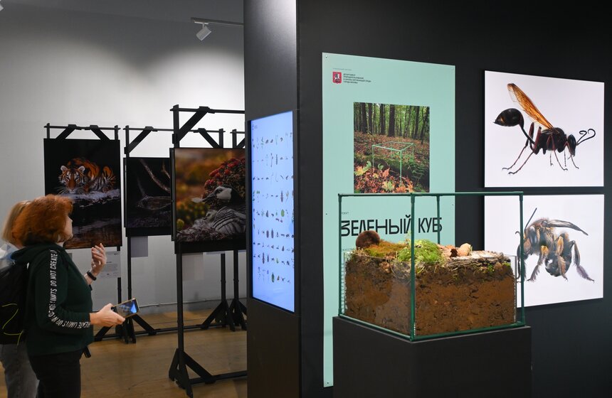 Фестиваль дикой природы "Золотая черепаха" открылся в Москве 18 фото