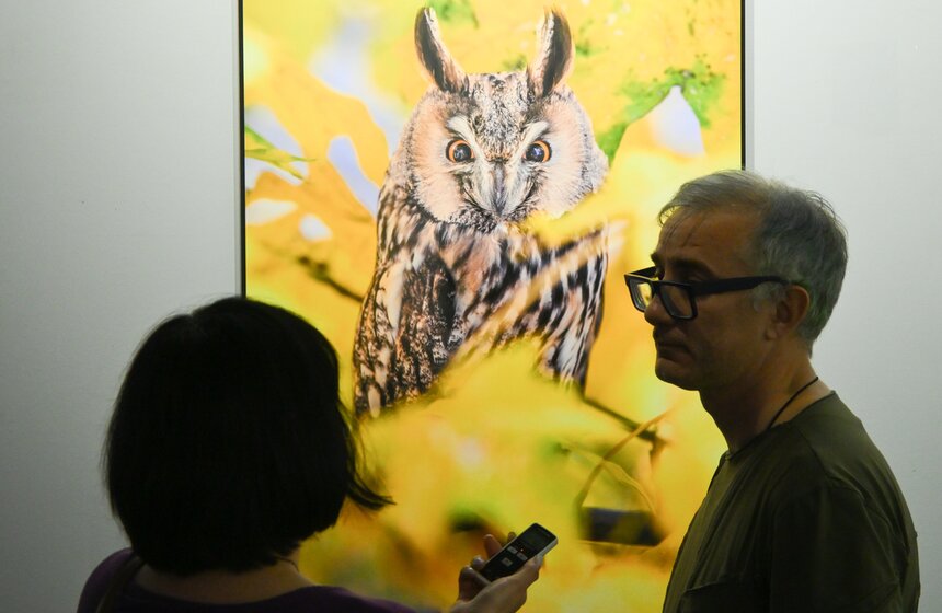 Фестиваль дикой природы "Золотая черепаха" открылся в Москве 26 фото