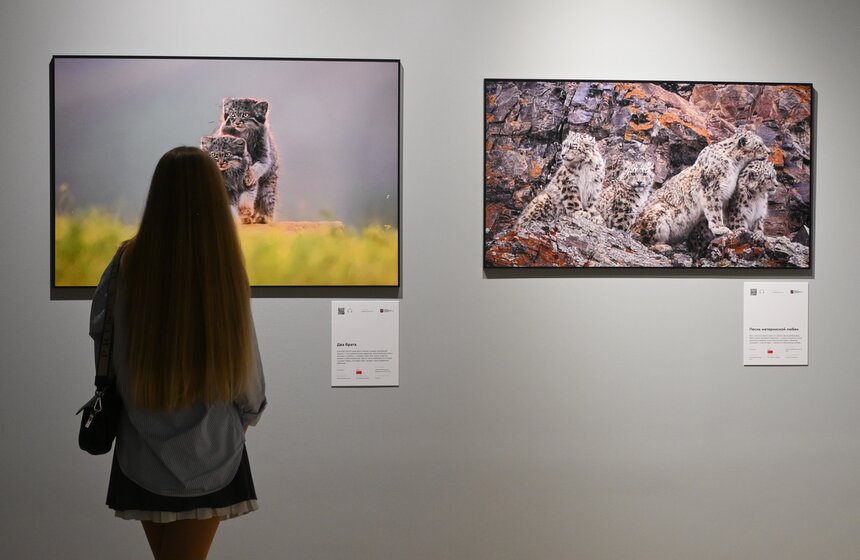 Фестиваль дикой природы "Золотая черепаха" открылся в Москве 15 фото