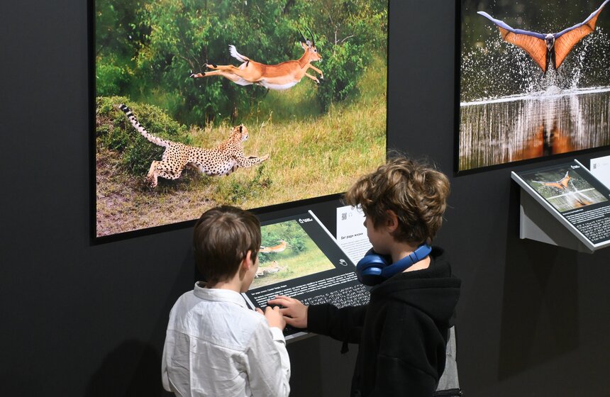 Фестиваль дикой природы "Золотая черепаха" открылся в Москве 12 фото