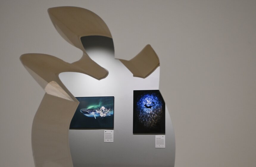 Фестиваль дикой природы "Золотая черепаха" открылся в Москве 28 фото