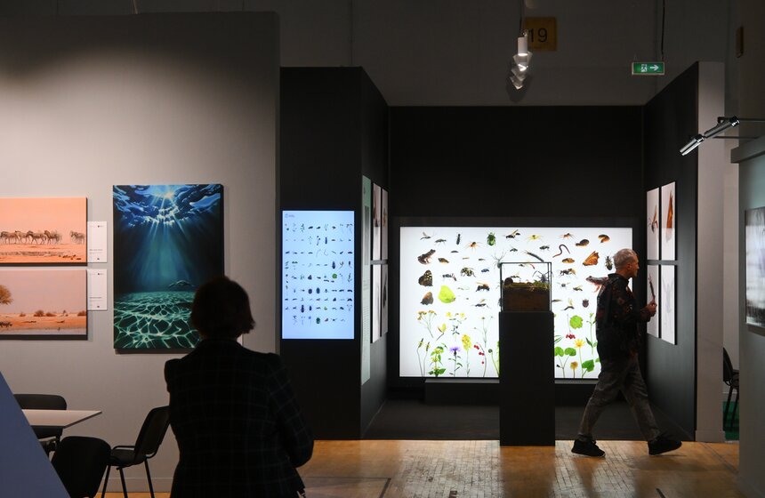 Фестиваль дикой природы "Золотая черепаха" открылся в Москве 14 фото