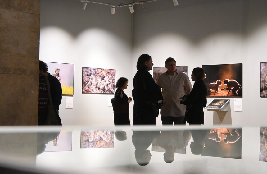 Фестиваль дикой природы "Золотая черепаха" открылся в Москве 20 фото