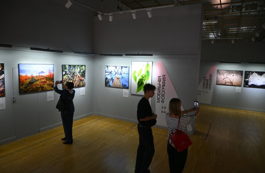 Фестиваль дикой природы "Золотая черепаха" открылся в Москве 10 фото