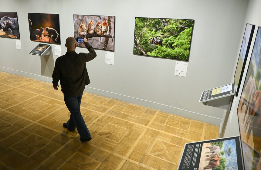 Фестиваль дикой природы "Золотая черепаха" открылся в Москве 17 фото