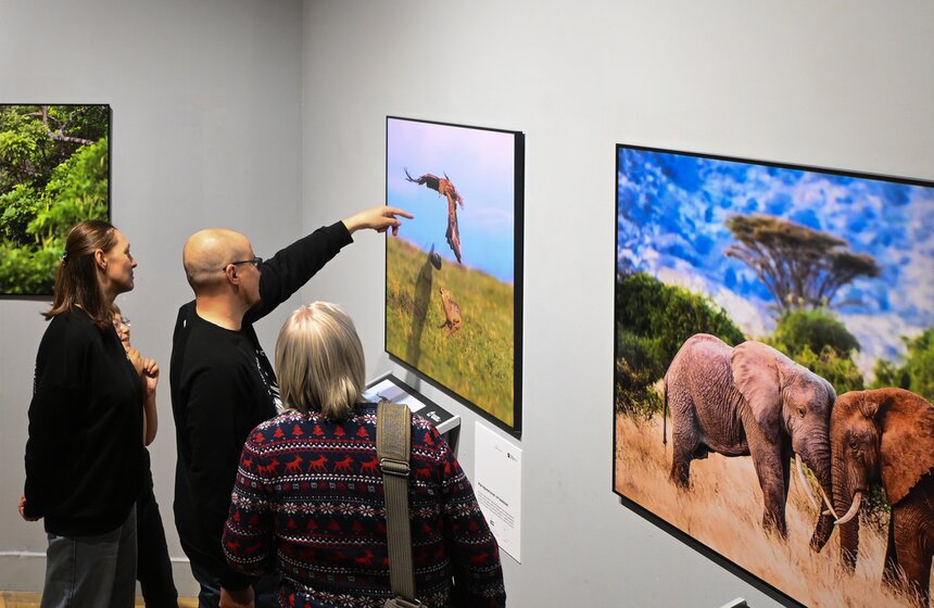 Фестиваль дикой природы "Золотая черепаха" открылся в Москве 21 фото