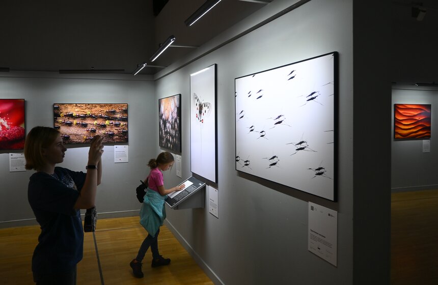 Фестиваль дикой природы "Золотая черепаха" открылся в Москве 8 фото