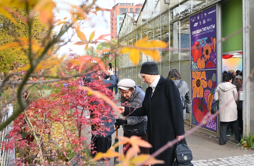 Шоу фигурной резьбы по тыквам-гигантам состоялось в "Аптекарском огороде" 2 фото