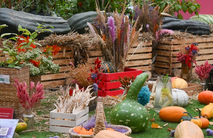 Шоу фигурной резьбы по тыквам-гигантам состоялось в "Аптекарском огороде" 4 фото