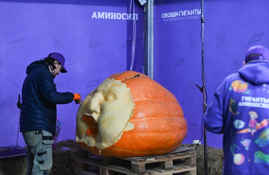 Шоу фигурной резьбы по тыквам-гигантам состоялось в "Аптекарском огороде" 14 фото