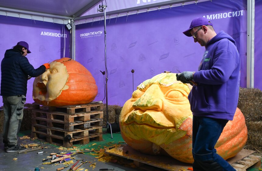 Шоу фигурной резьбы по тыквам-гигантам состоялось в "Аптекарском огороде" 12 фото