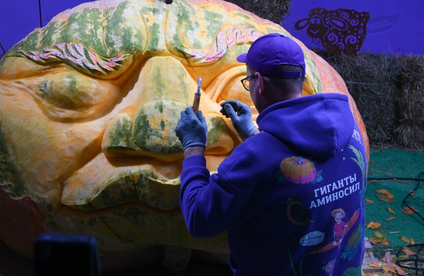 Шоу фигурной резьбы по тыквам-гигантам состоялось в "Аптекарском огороде" 11 фото