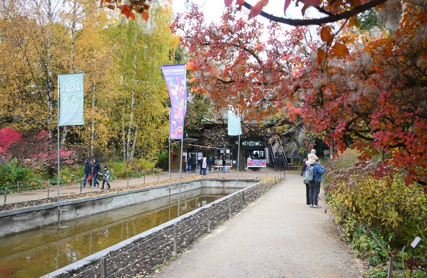 Шоу фигурной резьбы по тыквам-гигантам состоялось в "Аптекарском огороде" 1 фото