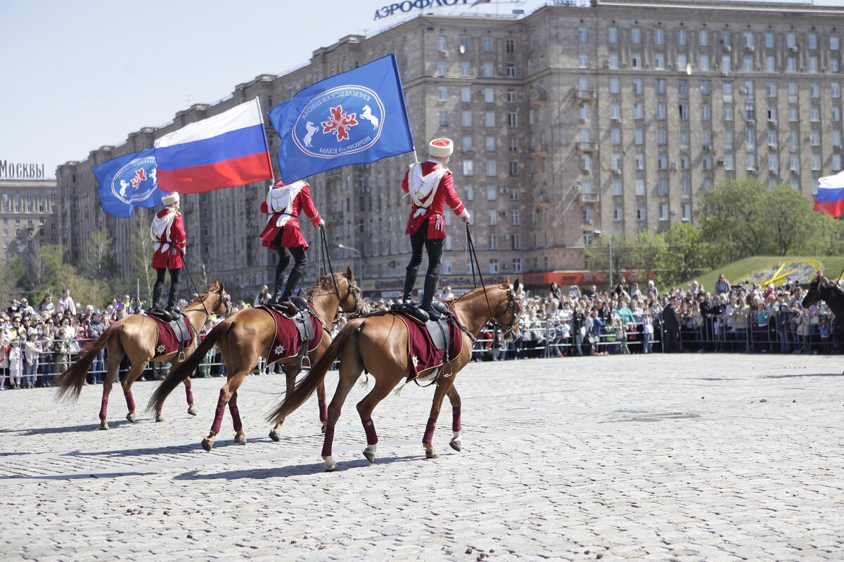 Парад на лошадях 9 мая. Наряженная лошадь на параде. Конный парад в Казахстане. Барабанная лошадь на параде.