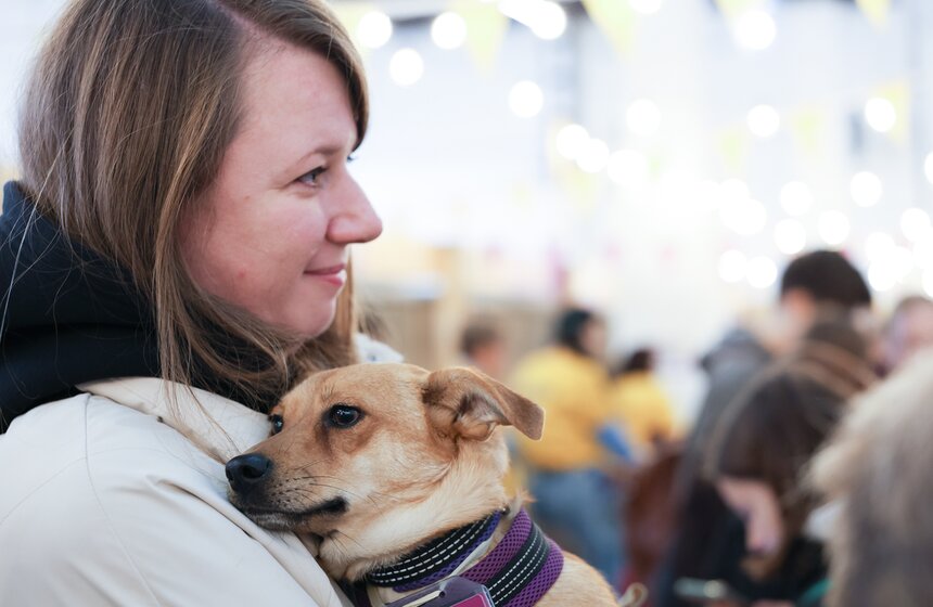 Благотворительный фестиваль Woof прошел в Москве в поддержку животных из приютов 16 фото