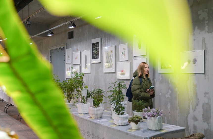 Выставка кактусов и других суккулентов стартовала в "Аптекарском огороде" в Москве 24 фото